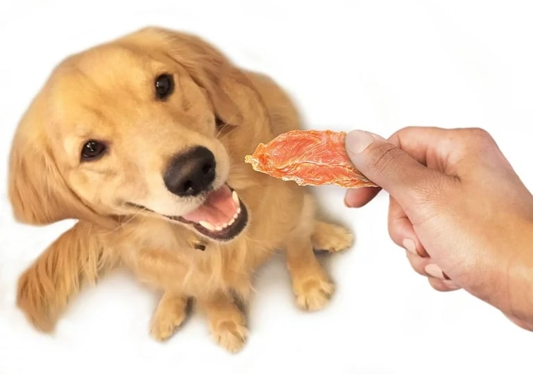 How to Make Chicken Jerky for Dogs