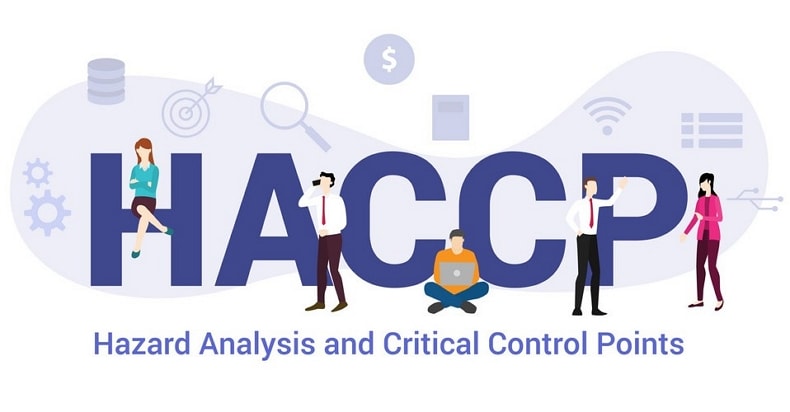 https://wp-cdn.typhur.com/wp-content/uploads/2023/11/haccp-hazard-analysis-and-critical-control-points-1.jpg