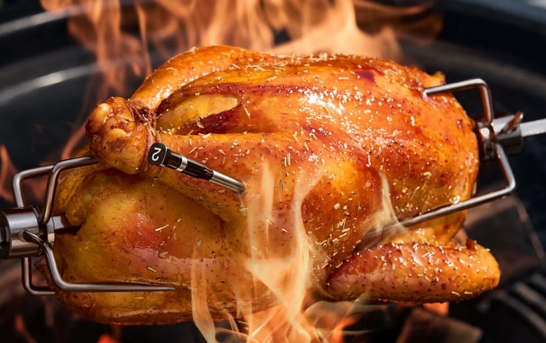 Where to put the Thermometer in a Turkey