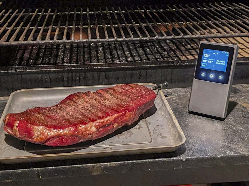Typhur Sync Leave in meat thermometer