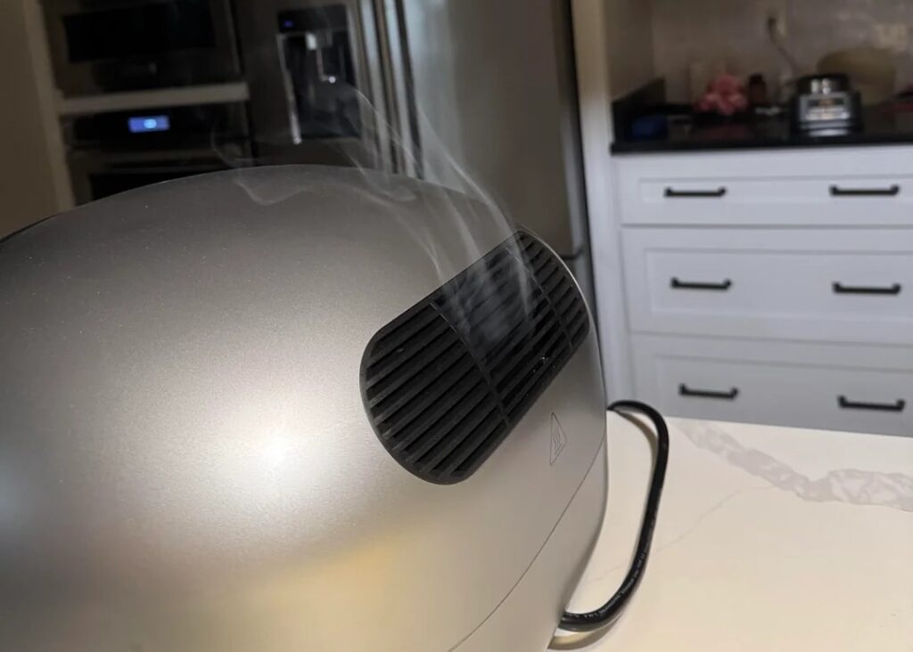 Typhur air fryer smoking