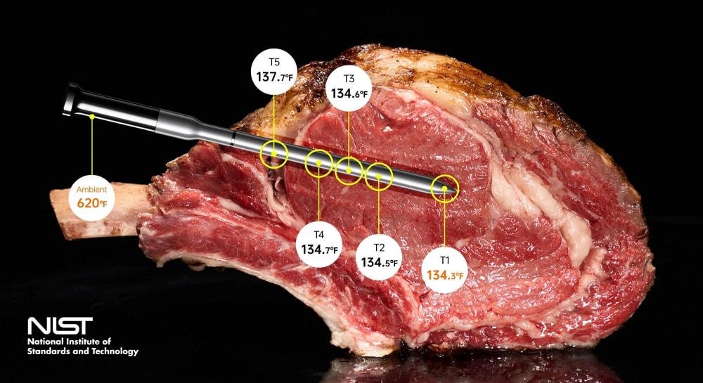 Typhur Sync Gold Acurate Thermometer