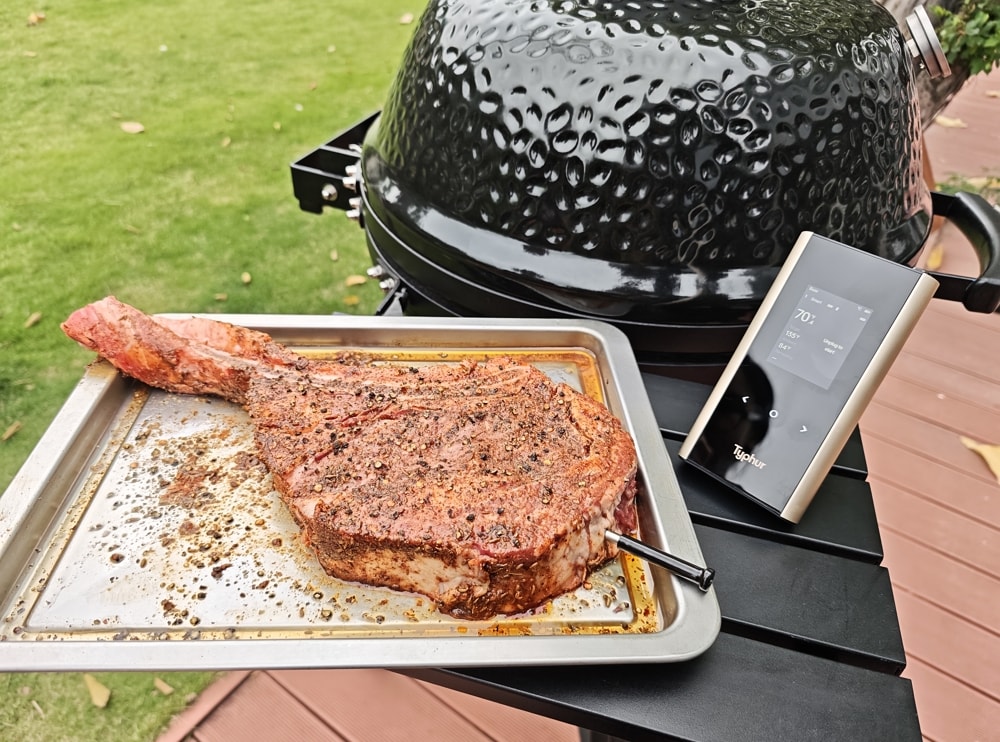 typhur sync gold performance x kamado grill